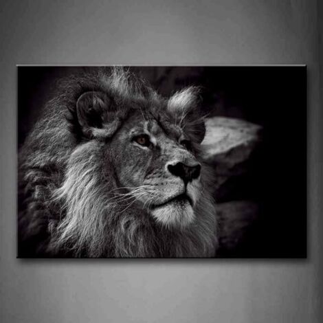 Peinture photographique sur toile Lion 61 x 91 cm