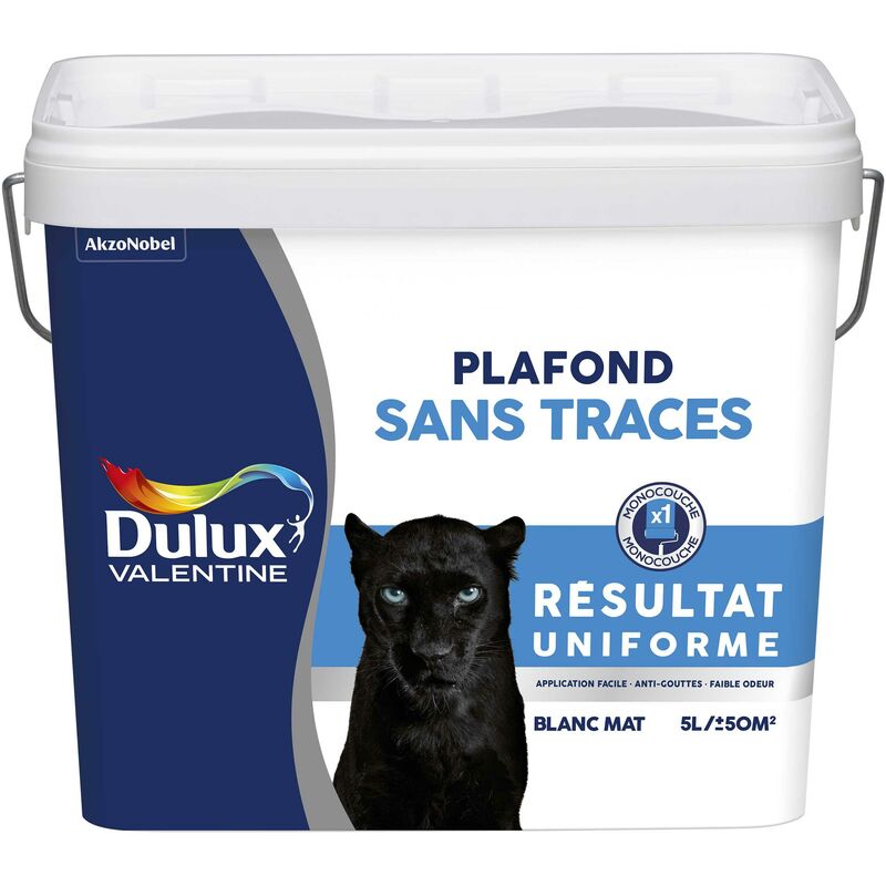 Peinture Plafond Sans Traces Mat Blanc 5 L - Dulux ...