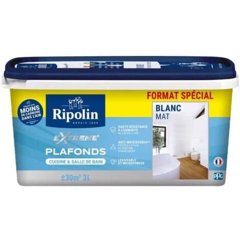 Peinture plafonds pièces humides