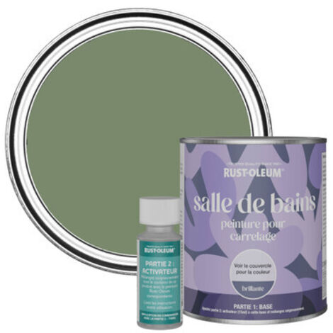 Peinture pour Carrelage de Salle de Bain, Finition Brillante - Broussaille 750ml