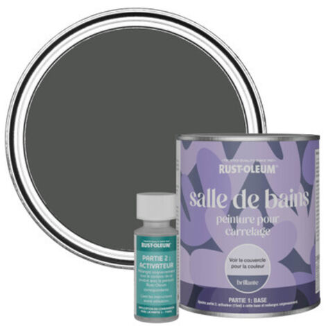 Peinture pour Carrelage de Salle de Bain, Finition Brillante - Graphite 750ml