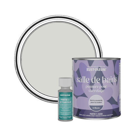 Peinture pour Carrelage de Salle de Bain, Finition Brillante - Gris d'Hiver 750ml