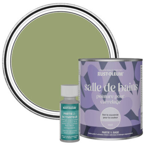 Peinture pour Carrelage de Salle de Bain, Finition Mate - Terrain Connu 750ml
