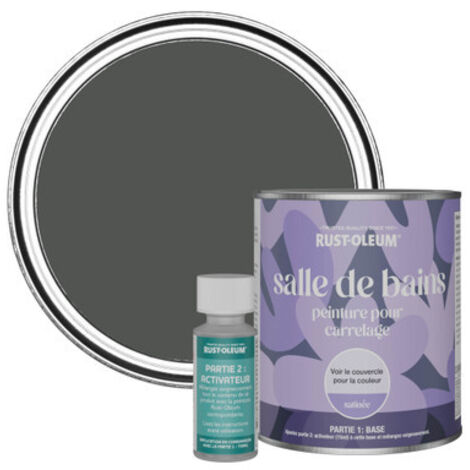 Peinture pour Carrelage de Salle de Bain, Finition Satinée - Graphite 750ml