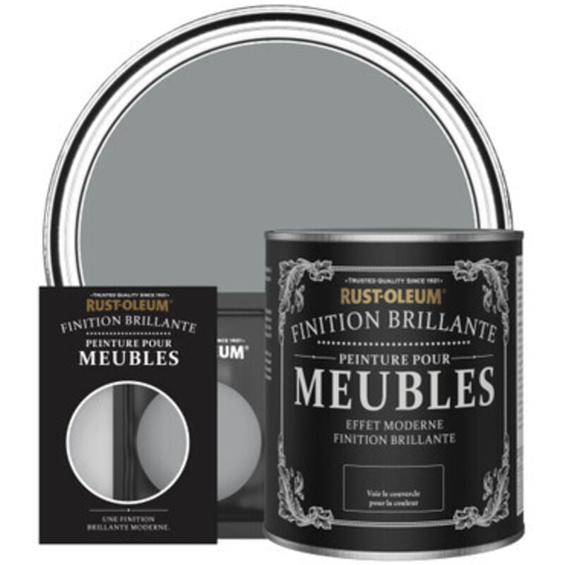 Peinture pour Meubles Brillante - Anthracite Moyen