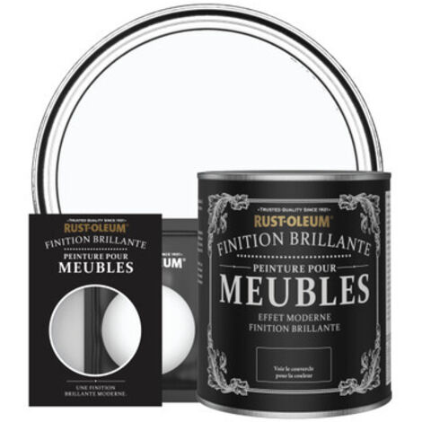 Peinture pour Meubles Brillante - Glacier