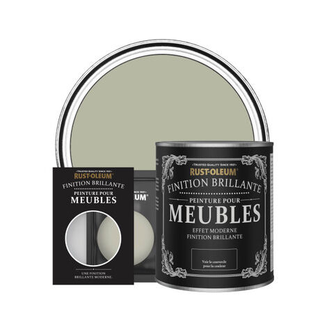 Peinture pour Meubles Brillante - Grège