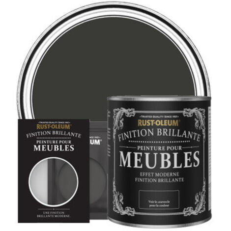 Peinture pour Meubles Brillante - Magie noire