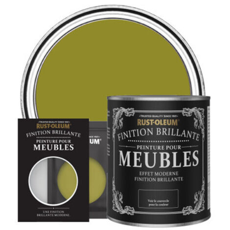 Peinture pour Meubles Brillante - Olive marinée