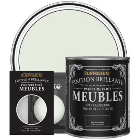 Peinture pour Meubles Brillante - Sauge