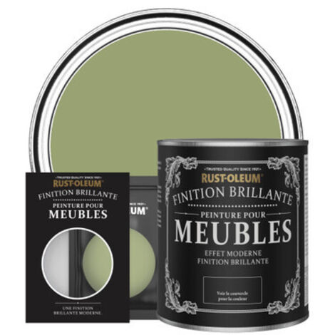 Peinture pour Meubles Brillante - Terrain Connu