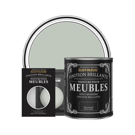 Peinture pour Meubles Brillante - Vert Craie
