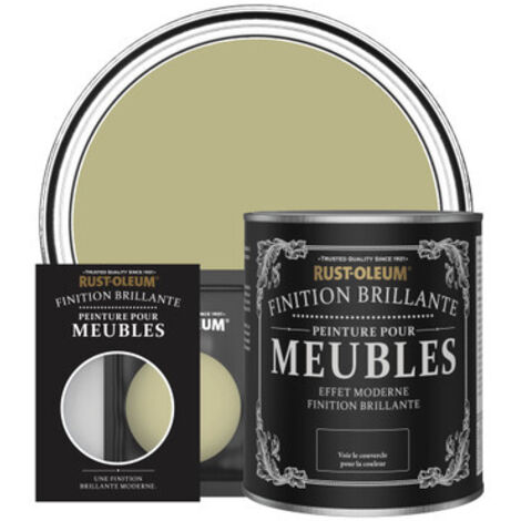 Peinture pour Meubles Brillante - Vert Sauge