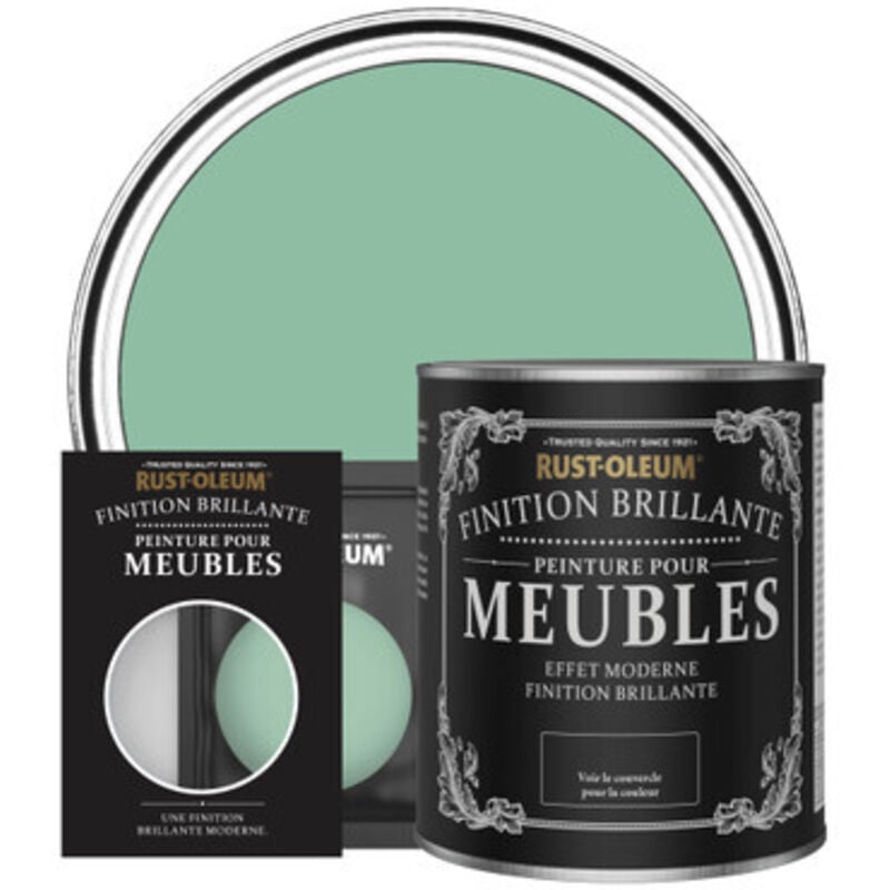 Peinture pour Meubles Brillante - Wanderlust