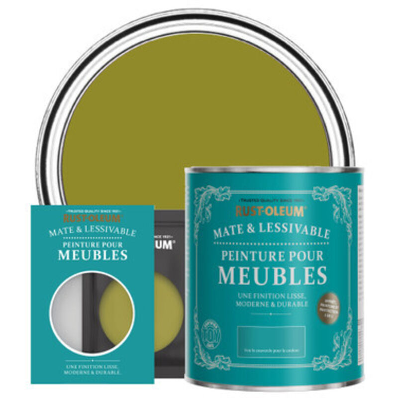 Peinture pour Meubles Mate & Lessivable - Olive marinée