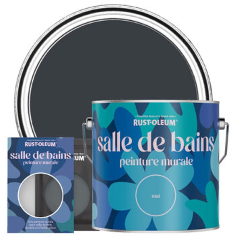 Peinture pour Murs et Plafonds de Salle de Bains - Anthracite (ral 7016)