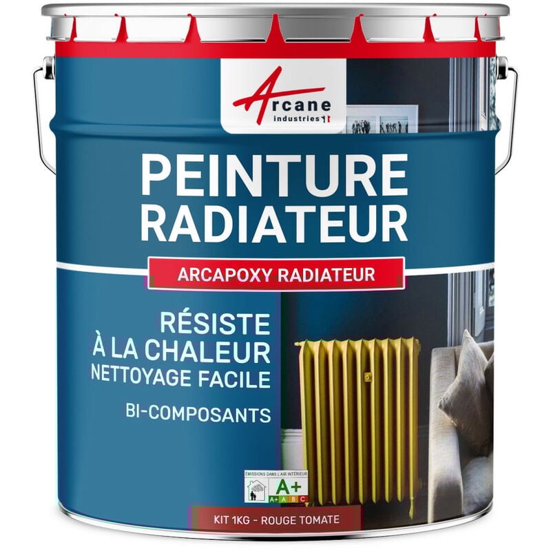 Peinture Radiateur - Fonte acier alu chauffage toutes couleurs peinture radiateur - 1 kg (jusqu'à 5 m² en 2 couches) Turquoise Pastel - ral 6034