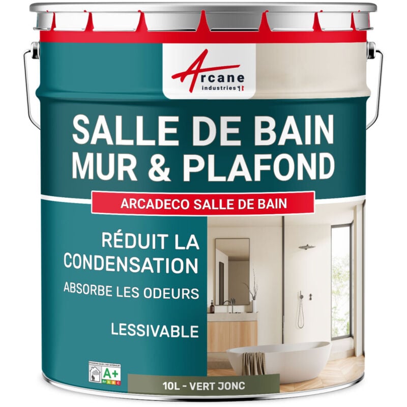 Peinture salle de bain mur plafond condensation - 10 l Vert jonc - ral 6013 Arcane Industries