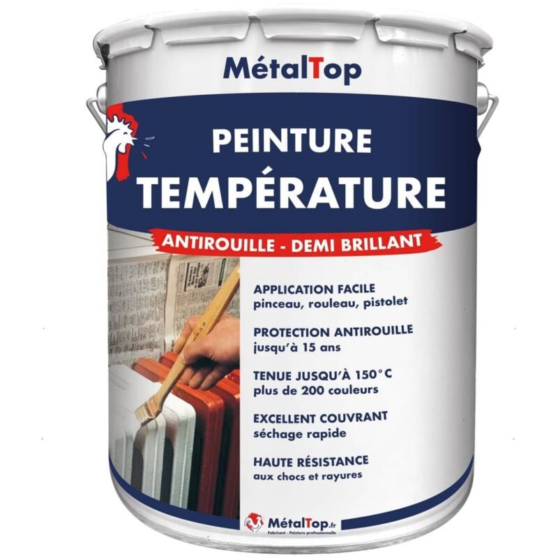 Metaltop - Peinture Temperature - Pot 5 l - 3022 - Rouge saumon