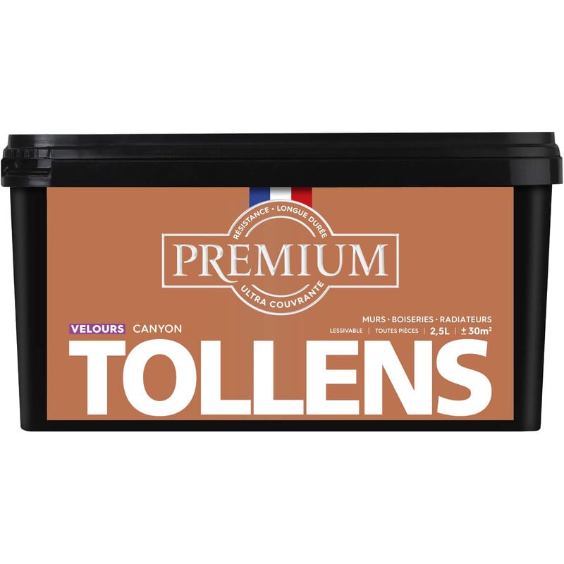 Peinture couleurs - Ultra Couvrante Tollens Résistante - Velours - Canyon - 2,5L