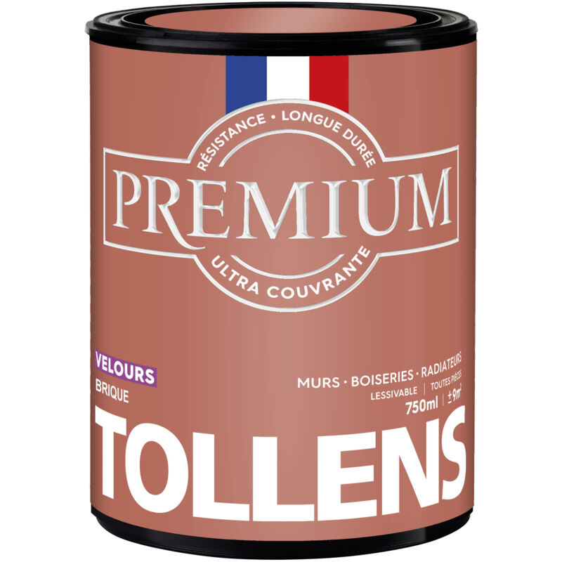 Peinture couleurs - Ultra Couvrante Tollens Résistante - Velours - Brique - 0,75L