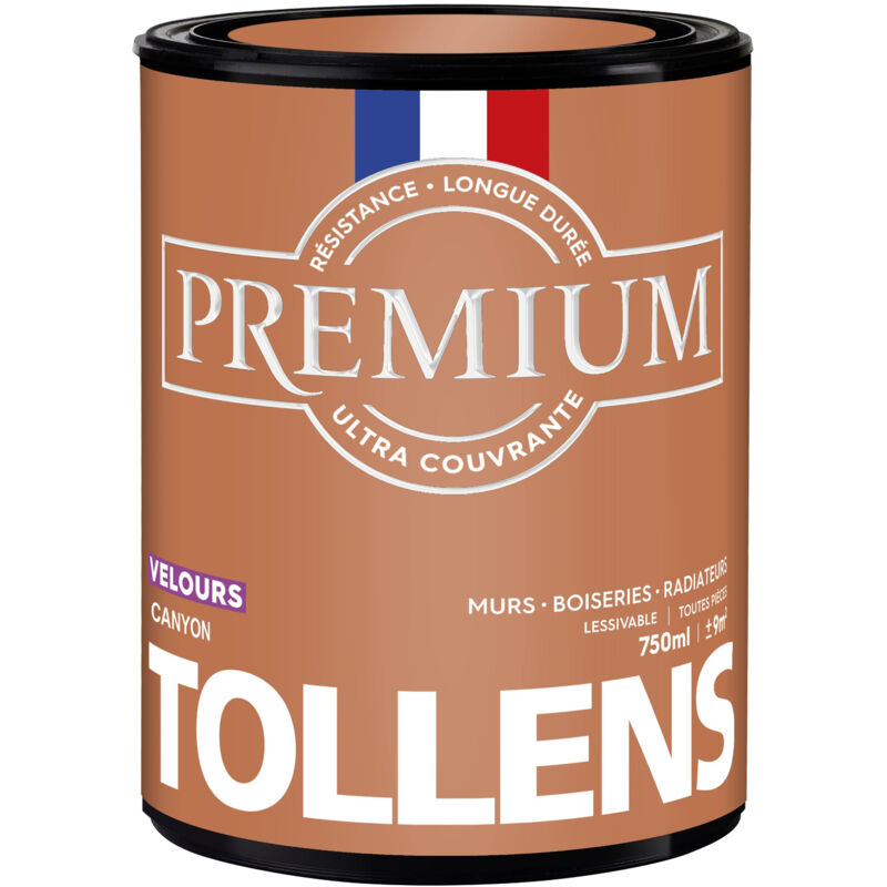 Peinture couleurs - Ultra Couvrante - TOLLENS - Résistante - Velours - Canyon - 0,75L