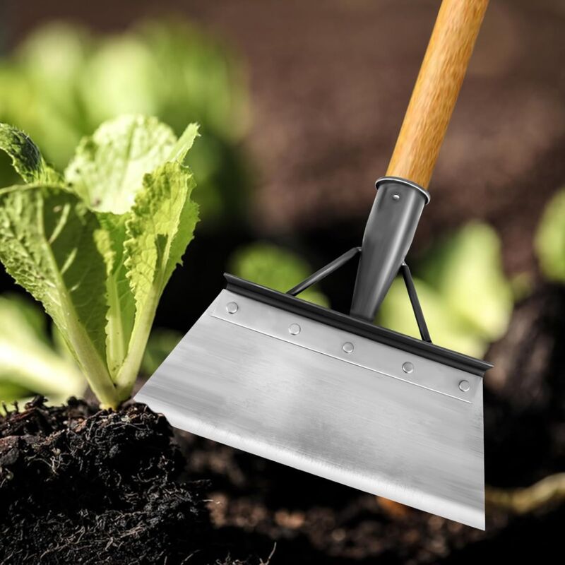 Pelle de jardin multifonctionnelle - Outil de jardinage pour mauvaises herbes et mousses - Pelle de nettoyage de jardin, désherbage et plantes (21 cm)