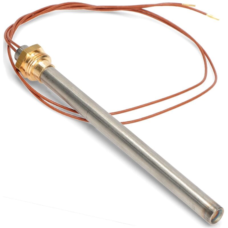 Reporshop - Poulettes 12.5x160x350W x 230V LC500 3/8 Palezetti