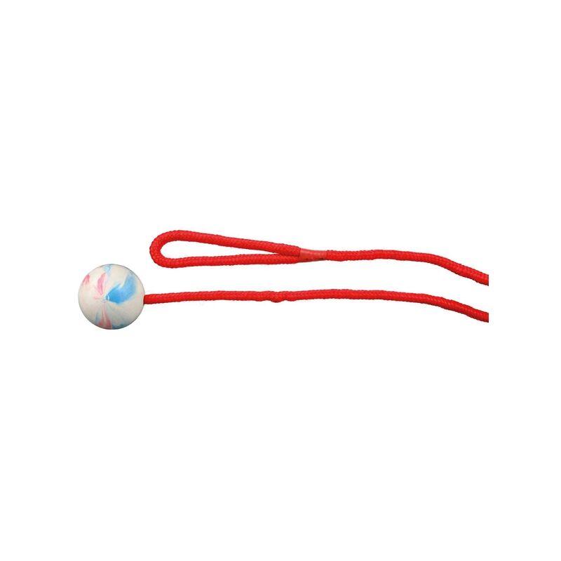 

Pelota con Cuerda, Caucho Natural ø5 cm, 1.00 m - Trixie