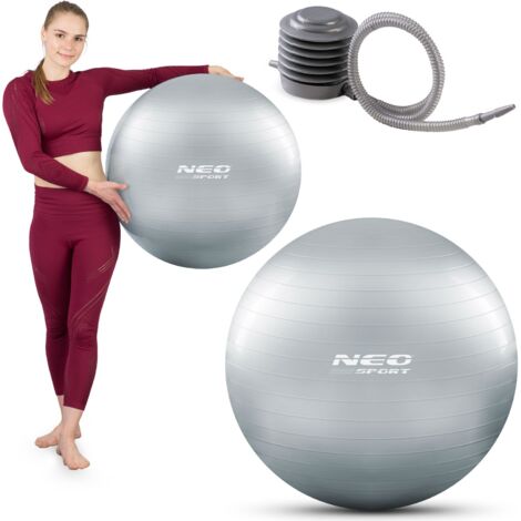 Pelota de ejercicios 65 cm NS-951 plata