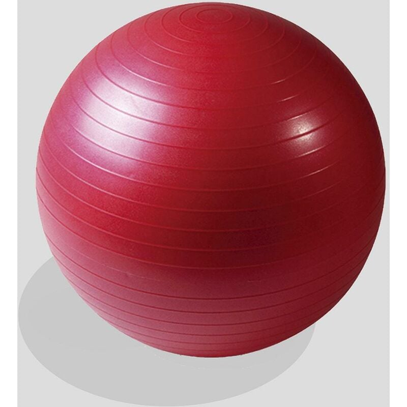 

Pelota Fitball 55 cm