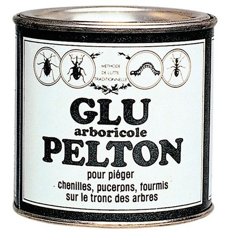 PELTON Glu arboricole - 150 g