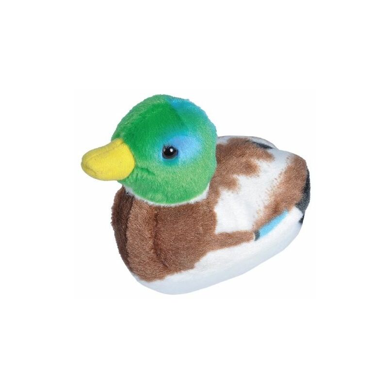 Peluche sonore Canard colvert