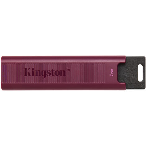 Pen drive USB 3.2 Kingston DataTraveler Max da 1 TB - Alta Velocit� e Capacit� Elevata