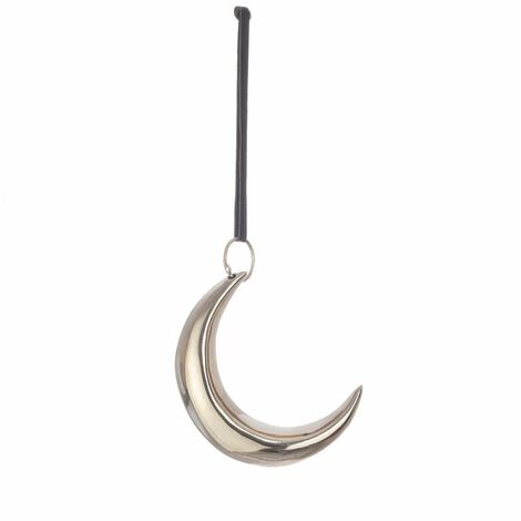 PENDAGLIO SHANNON LUNA ARGENTO 12X9H
