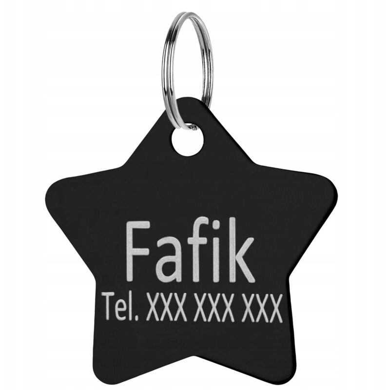 Pendentif gravé étoile pour collier chien et chat avec nom
