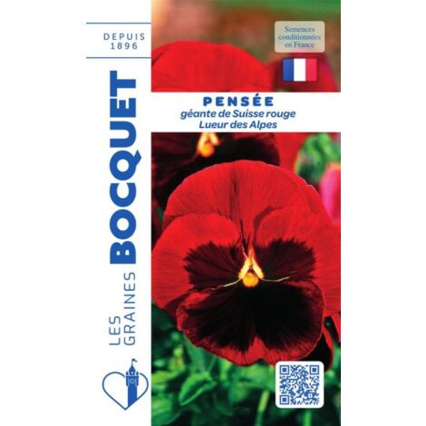 Pensée géante de Suisse rouge Lueur des Alpes - 0,5g