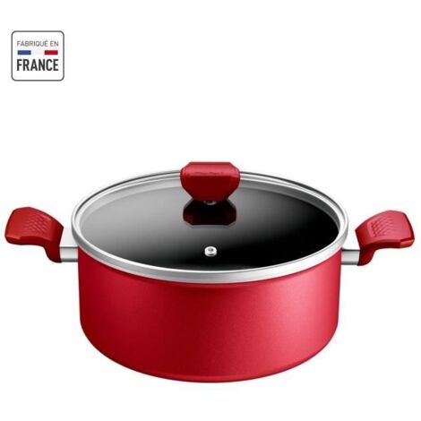 Pentola con Coperchio Tefal Ø 24 cm