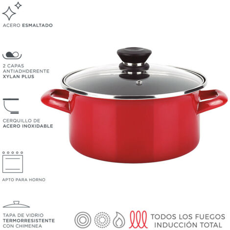 Pentola Optimax + Coperchio Rosso Acciaio AISI 430 Ø26x14cm Fagor