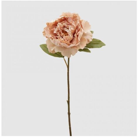 Peonia Epoque ramo da 51 cm color Pesca