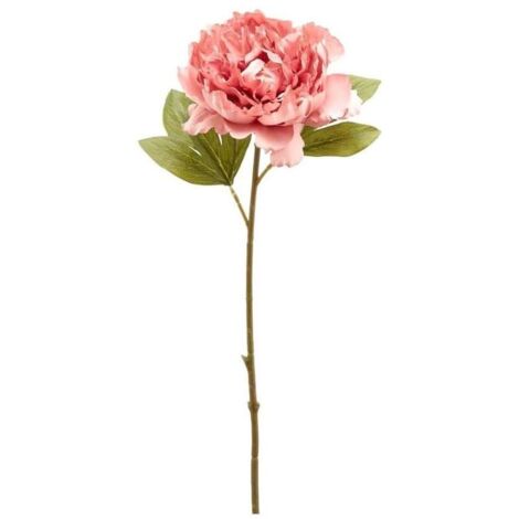 Peonia Epoque ramo da 51 cm color Rosa