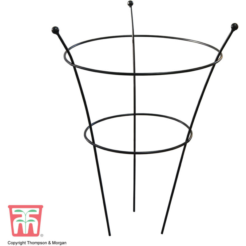 Thompson&morgan - Peony Frame Outdoor Heavy Duty Herbaceous Garden Plant Support Ring for Perennial Flowers Border Cage (x1)