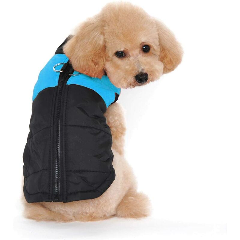 

Pequeño abrigo impermeable para perros Chaqueta de invierno Chaqueta acolchada acolchada para perros Ropa para cachorros Varios tamaños y colores