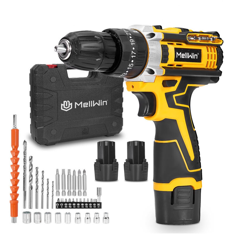 Perceuse Visseuse Sans Fil 12V, 38N.m, 34 Accessoires, 25+3 Réglages de Couple, 2 Vitesse, avec 2 Batteries