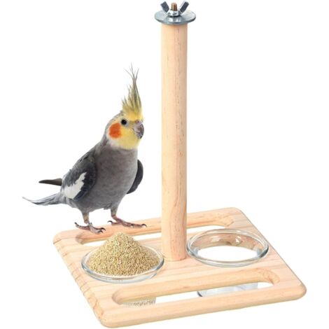 Perchoir à oiseaux, perroquet Support pour perchoir avec