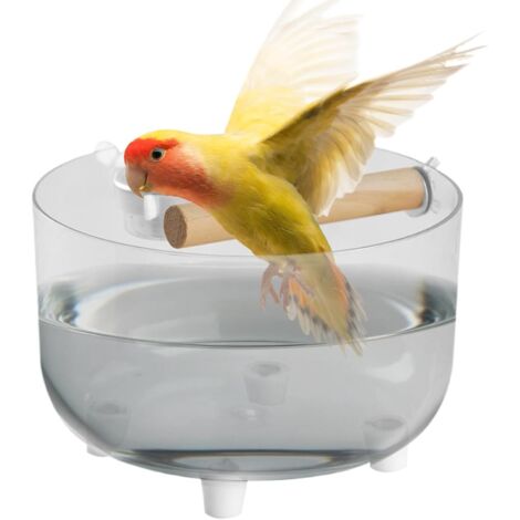 Perchoir d'Entraînement pour Oiseaux de Bureau - Support De Repos avec