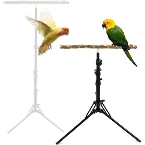 Perchoir en bois de poivre naturel, hauteur réglable idéal pour oiseaux de petite et moyenne taille usage intérieur et extérieur