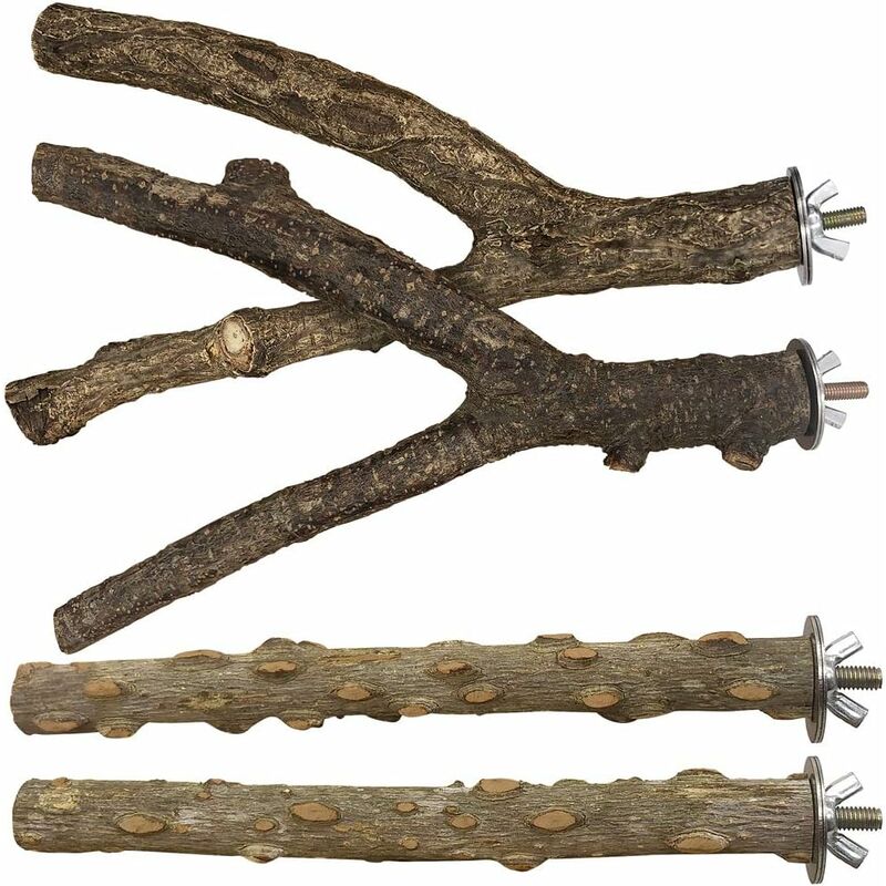 Perchoir à oiseaux 4 pièces support en bois naturel perruche jouets accessoires de cage à oiseaux pour fournitures de perroquets