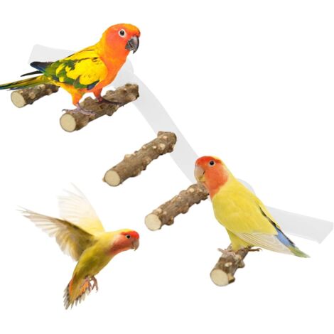 Perchoir pour Oiseaux - Échelle d'escalade pour
