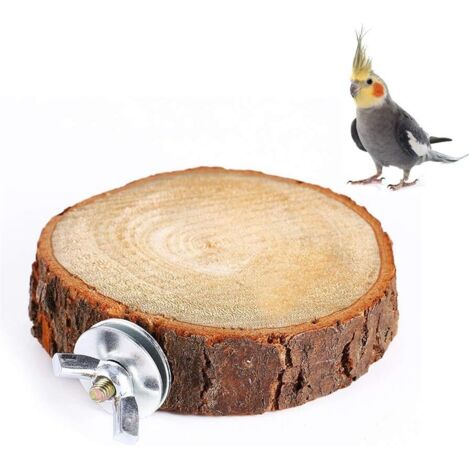 Perchoir pour oiseaux, plateforme, jouet en bois naturel, aire de jeux pour perroquets, patte